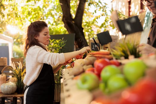 Woman vendor selling seasonal locally grown fruits and vegetables, arranging fresh bio products outdoors. Young small business owner preparing natural food to sell at local farmers market.