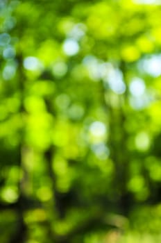 Green background