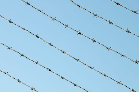 Barbed wire