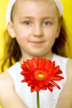 Girl with gerbera
