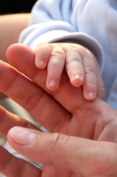 Hands