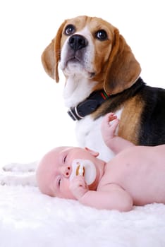 Protector