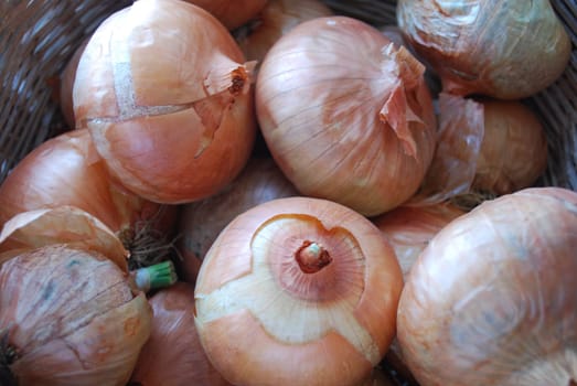 Onions in a Braided Brown Basket
