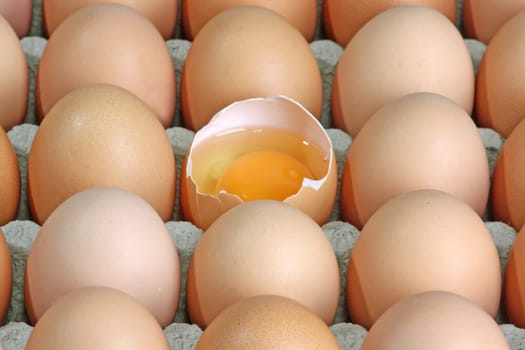 Egg yolk