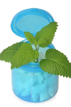 Peppermint Chewing Gum