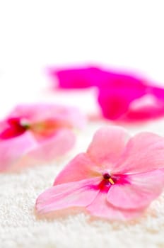 Gentle flower on luxury towel