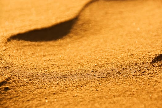 desert sand close-up