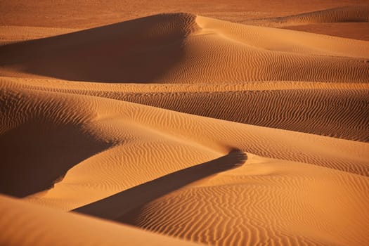 desert dunes in Sahara