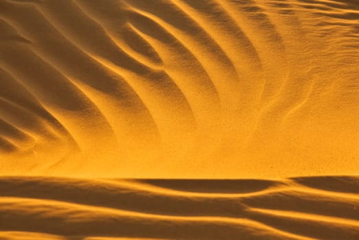 desert sand in evening sun