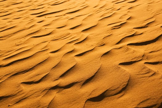 desert sand close-up