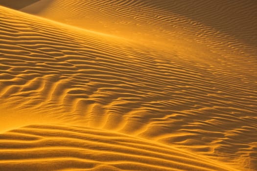 sand dunes in evening sun
