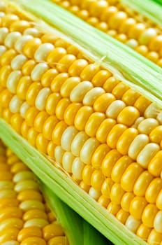 Corn close up