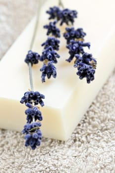 Lavender soap