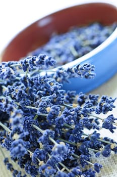 Dried lavender