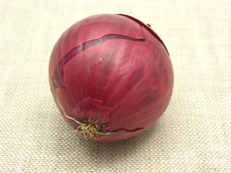 Red onion on beige cloth