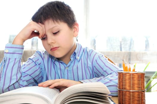 School boy studying