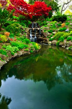 Cascading waterfall and pond