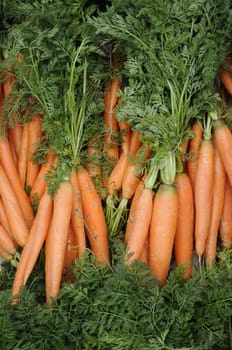 Carrots
