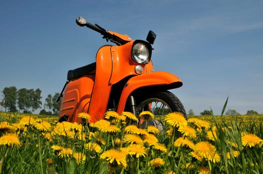Fun in spring...