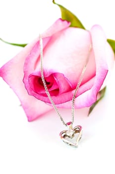 Diamond necklace on rose