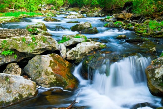 River through woods