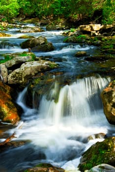 River through woods