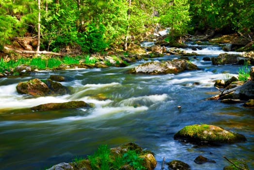 River through woods