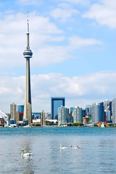 Toronto skyline