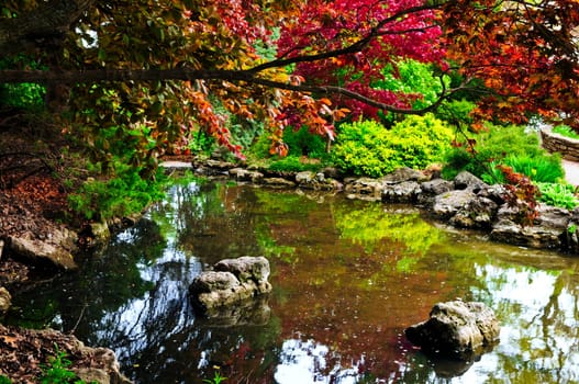 Pond in zen garden