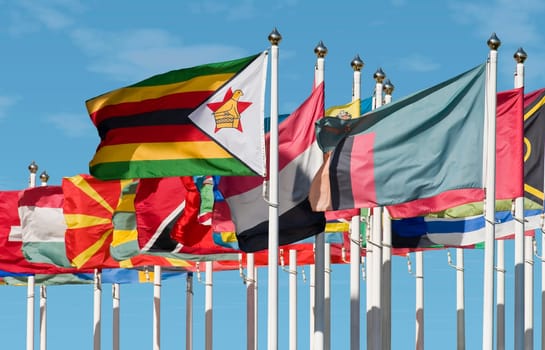 Flags United Nations