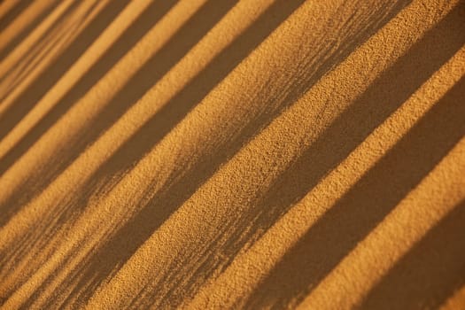 desert sand close-up
