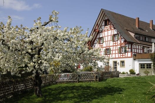 House in Allensbach
