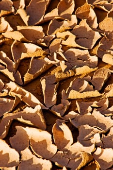 dry earth in sunshine