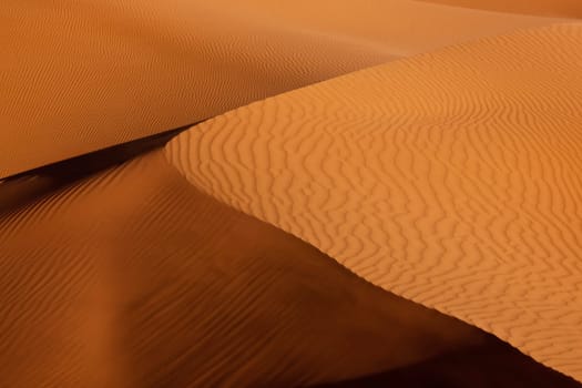 sand dunes in the Sahara desert