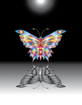 Fantastic butterfly.