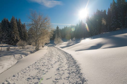 Winter
