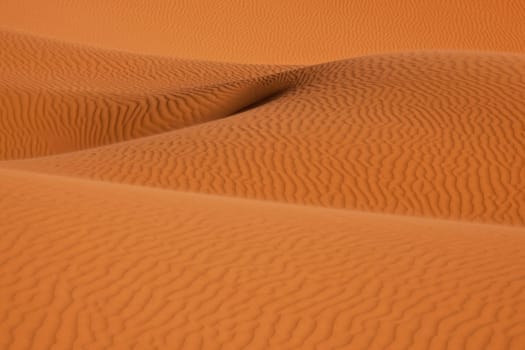 sand dunes in the Sahara desert