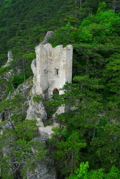 Ruins of Rauhenstein