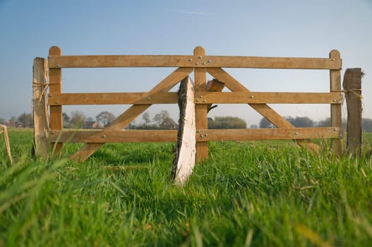 fence gate