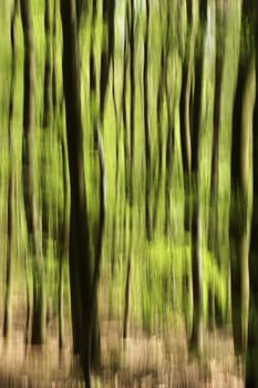 Spring in the forest,abstractly photographed by slow shutter speed and motion
