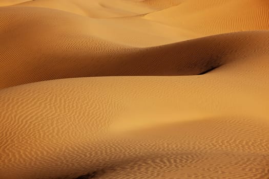 sand dunes in the Sahara desert