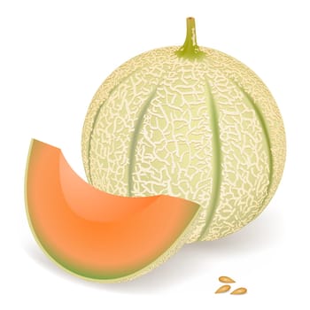 Melon