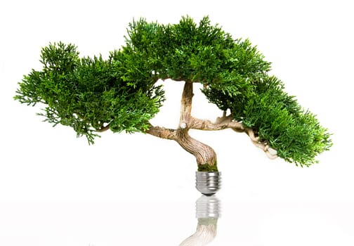 Tree in a light bulb
