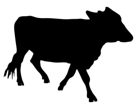 The black silhouette of a cow