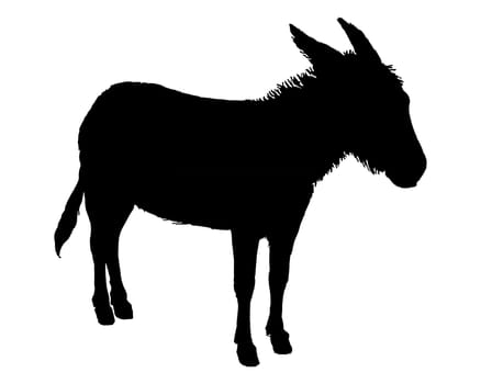 The black silhouette of a donkey