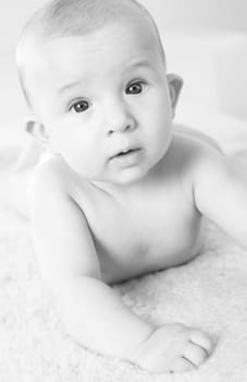 Adorable newborn portrait