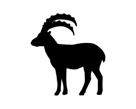 Capricorn