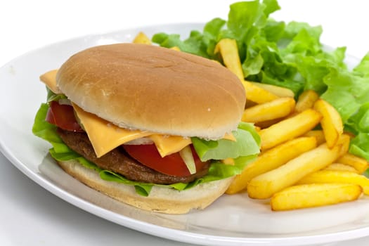 Cheeseburger with french fries
