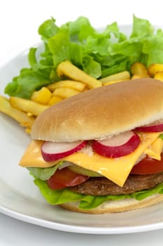 Cheeseburger with french fries