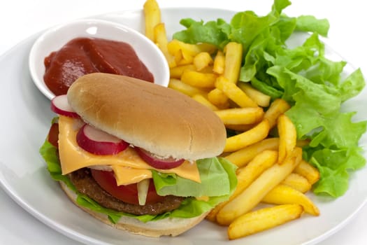 Cheeseburger with french fries